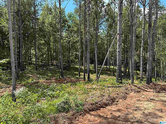 2nd image of 0 County Road 246 #50