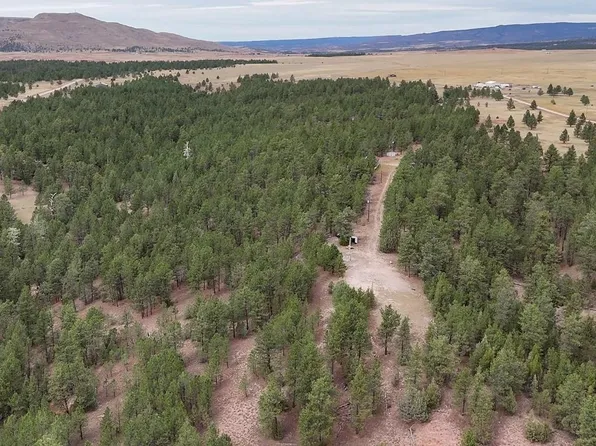 10345 Turkey Trl, Edgemont, SD 57735