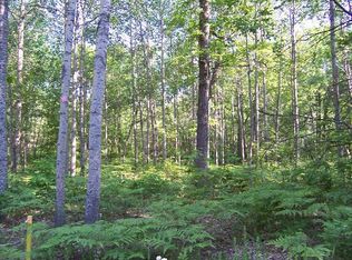 McIntire Rd, Comins, MI 48619