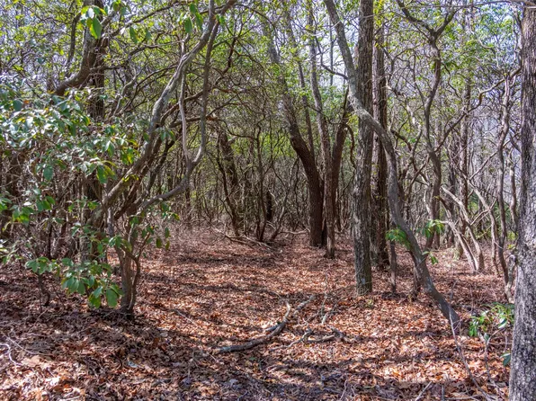 LS 14 Lakeside Drive, Lake Toxaway, NC 28747