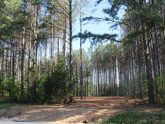 5th image of 1501 S Slayden Rd