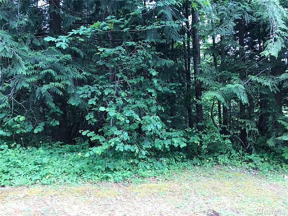 5th image of 18420 Britchin St SE
