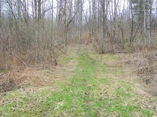 LOT 3 Salisbury Rd Lot 3, Westdale, NY 13483