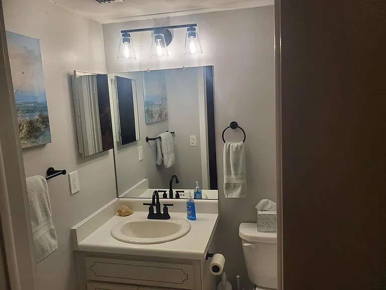 Private bathroom in Primary Room