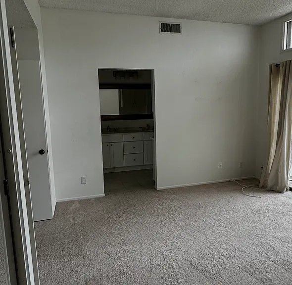 1351 Camino Teresa — Photo 14