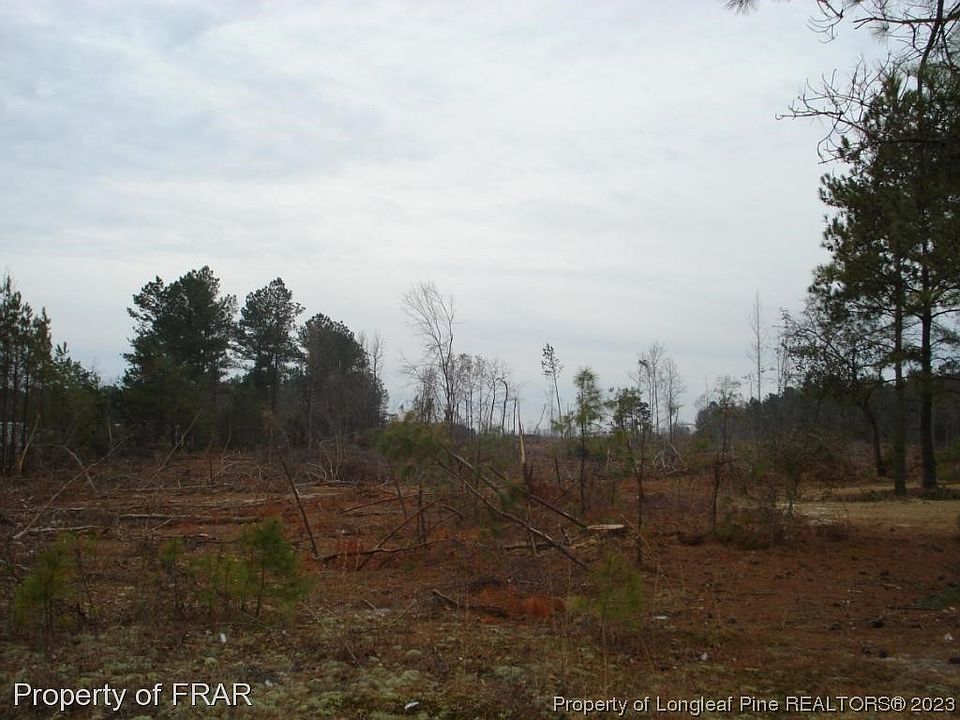 2nd image of Ozzie Rd