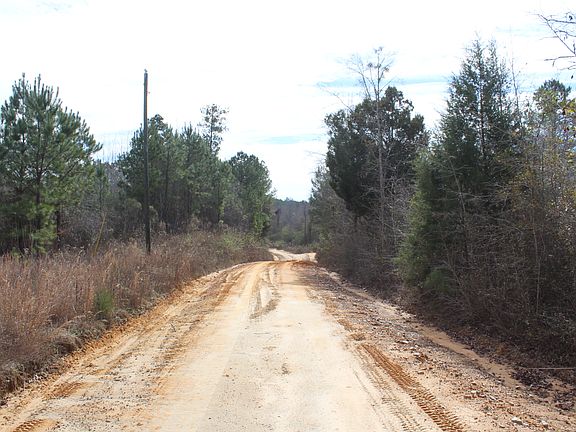 5th image of CR 216