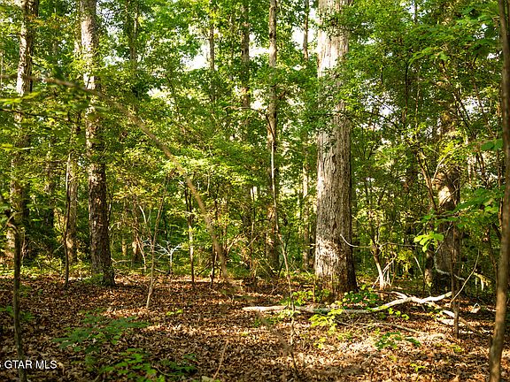 5th image of Deer Hill Rd