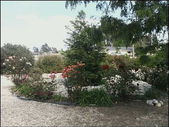 Easy care landscaping