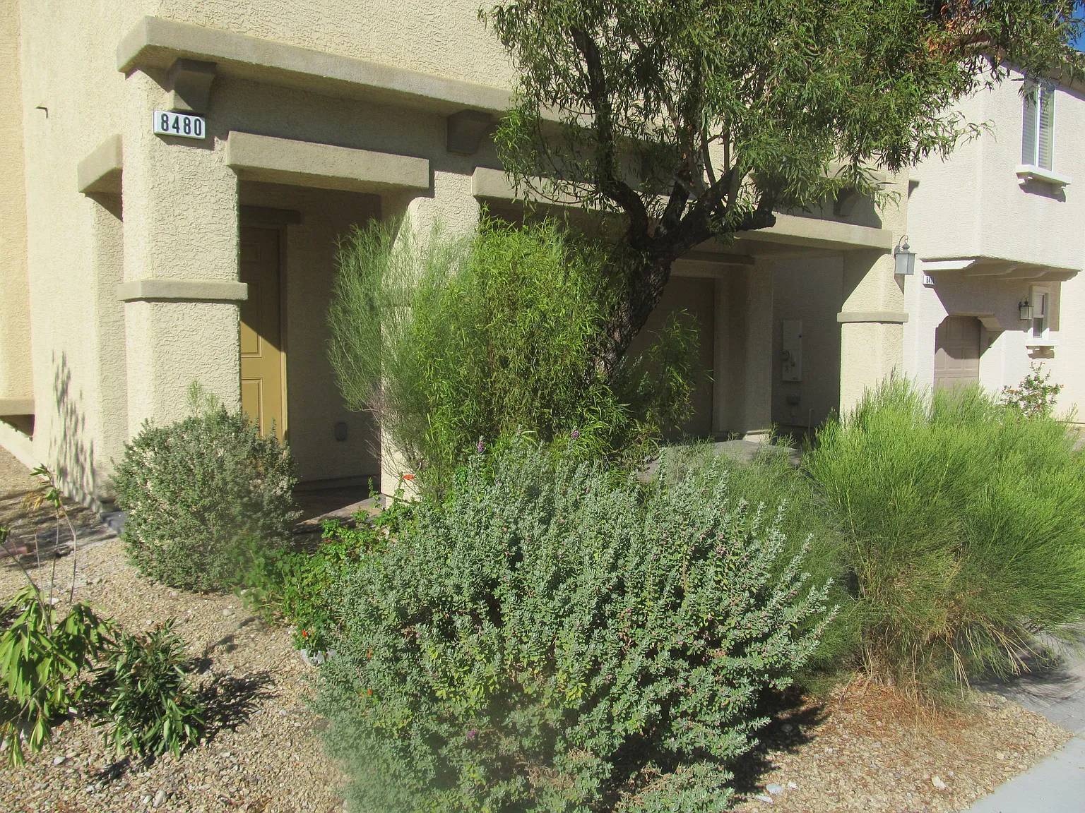 3 bed, 2.5 bath, 1703 sqft, $1,900 — Photo 2