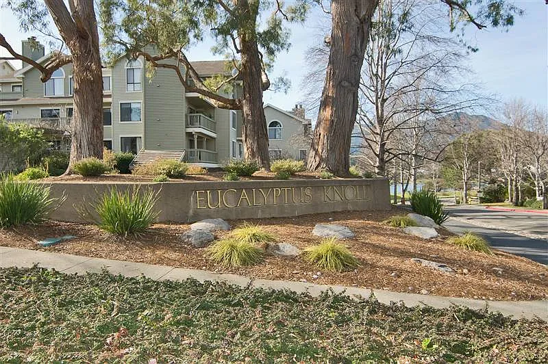 33 Eucalyptus Knoll St photo 1