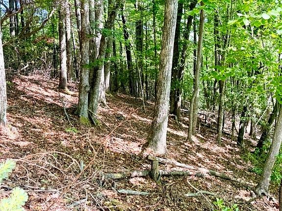 5th image of Lot 48 & 49 Davis Acres