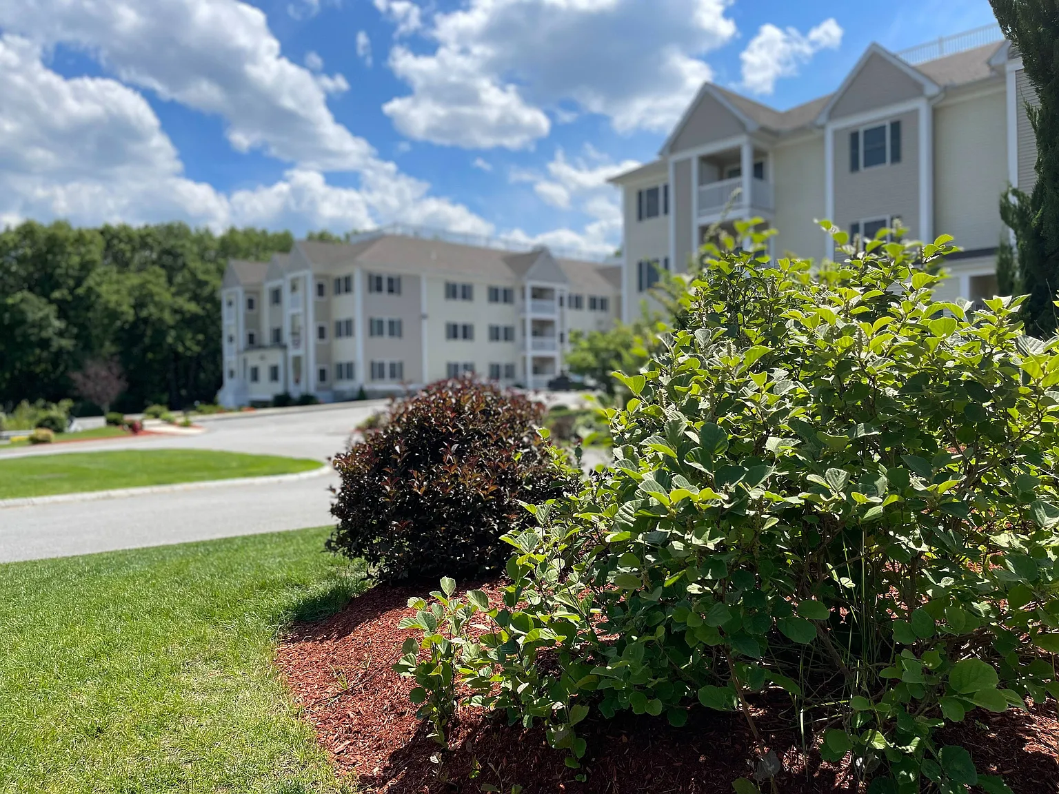Grassfields Commons — Photo 2
