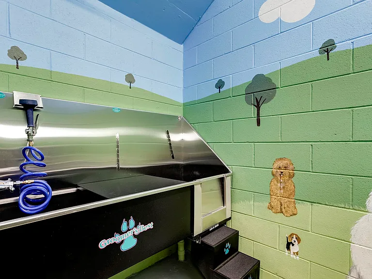 Pet Spa