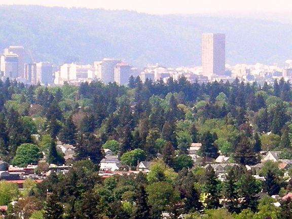 Portland City View 