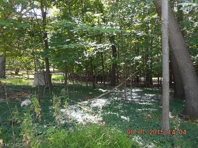 2nd image of Orchard Park Dr