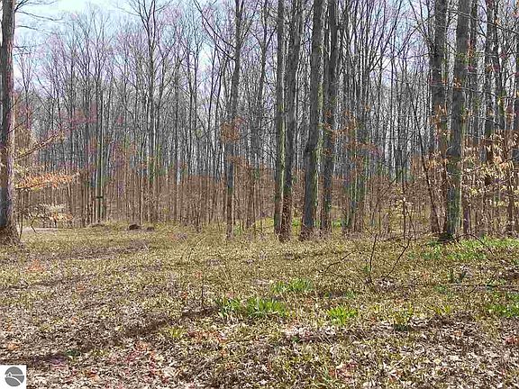 2nd image of W Armstrong Lake Trail B 2