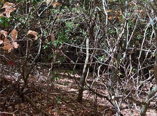 0 Prospectors Pl #17, Sautee Nacoochee, GA 30571