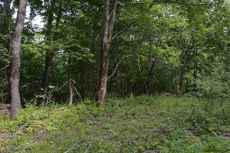 4th image of 00 UPPER MANNIX Road
