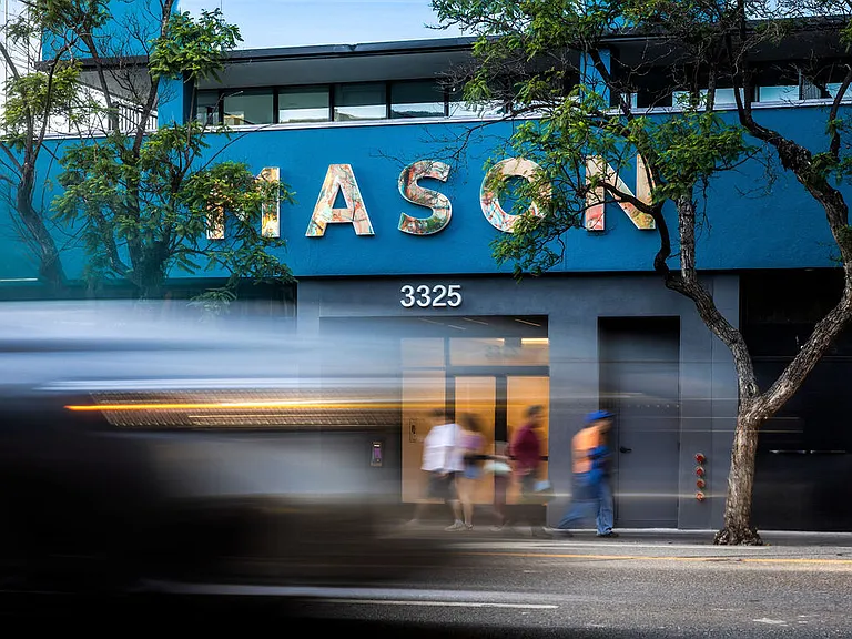 Mason — Photo 25