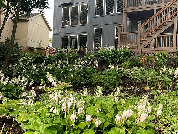 Back of house, screened porc