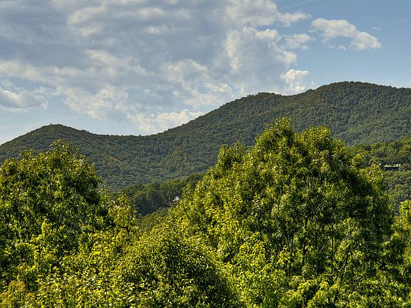2nd image of 61 Little Amy Creek Trl