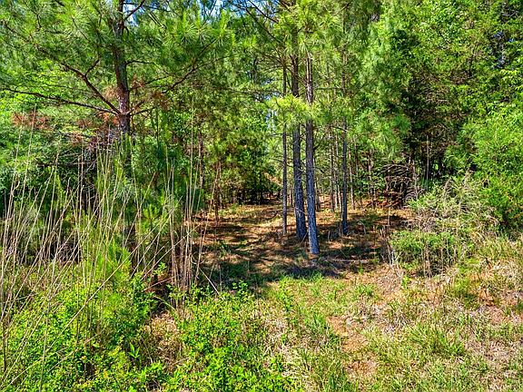 5th image of LOT 1 Gowdeysville Rd