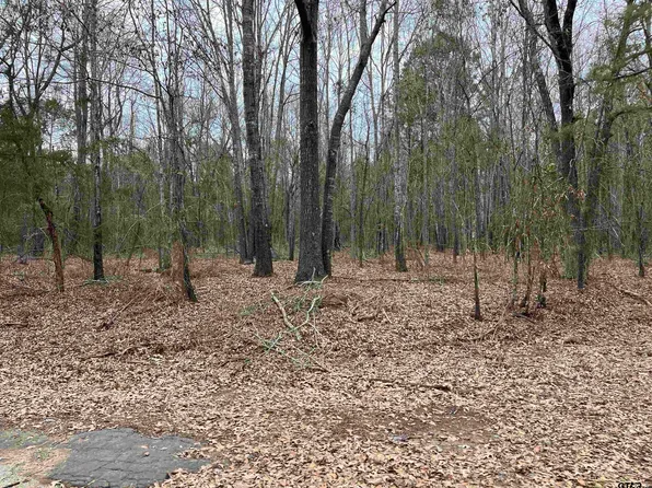 TRACT 4 Venus Rd, White Oak, TX 75693