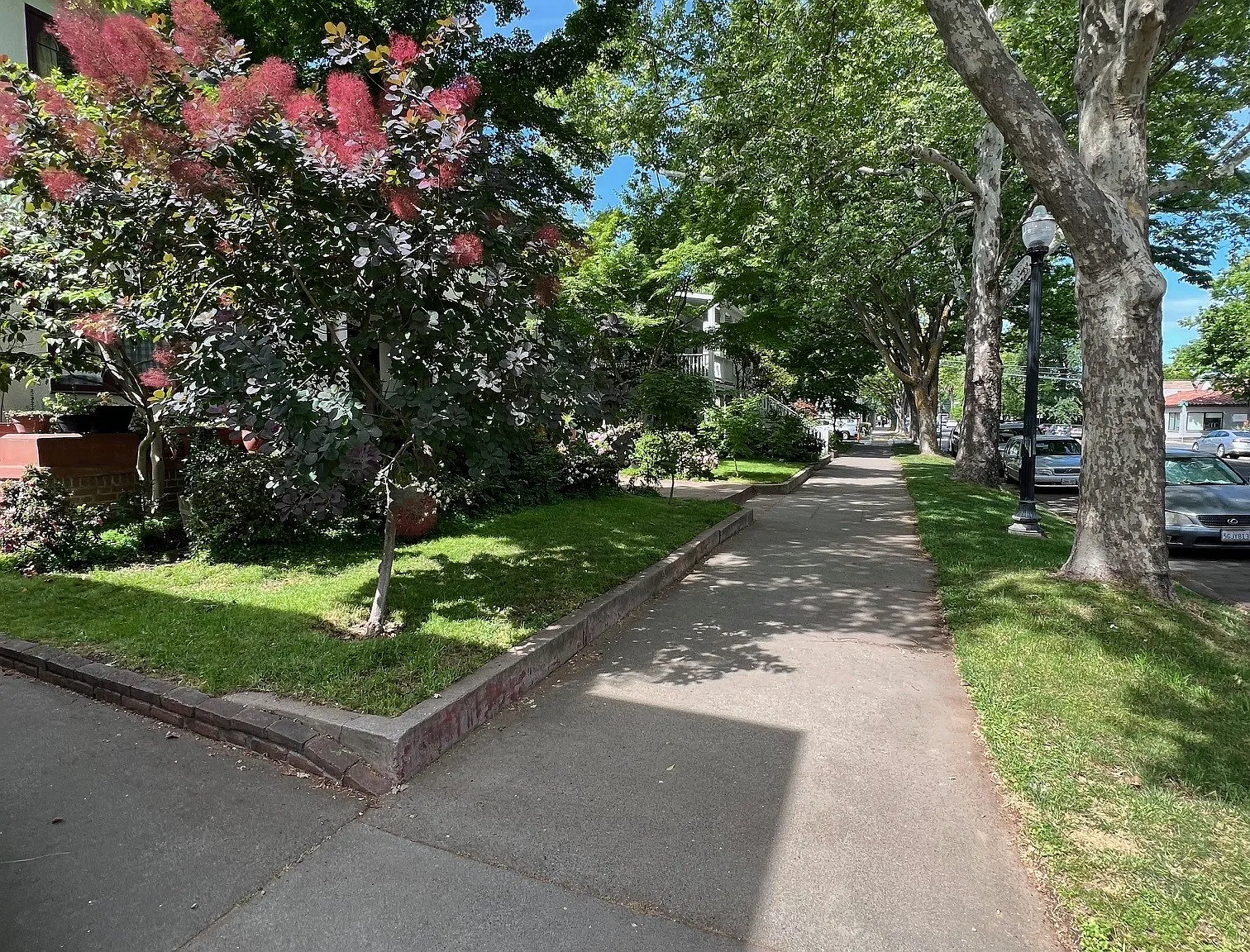 1 bed, 525 sqft, $1,800 — Photo 2