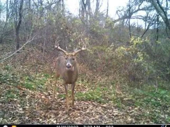 Dobbs Drive, Soldiers Grove, WI 54655