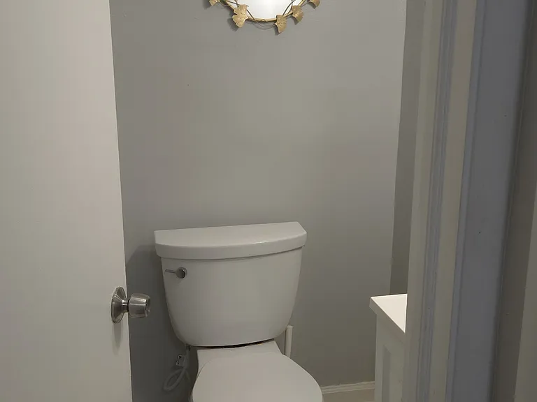 Powder Room Main Level