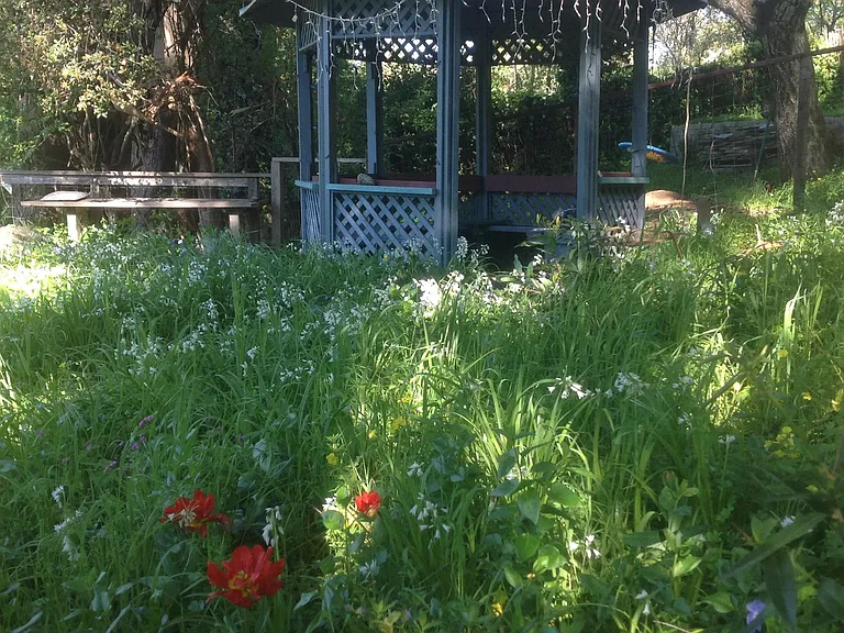 120 Forrest Ave — Photo 15