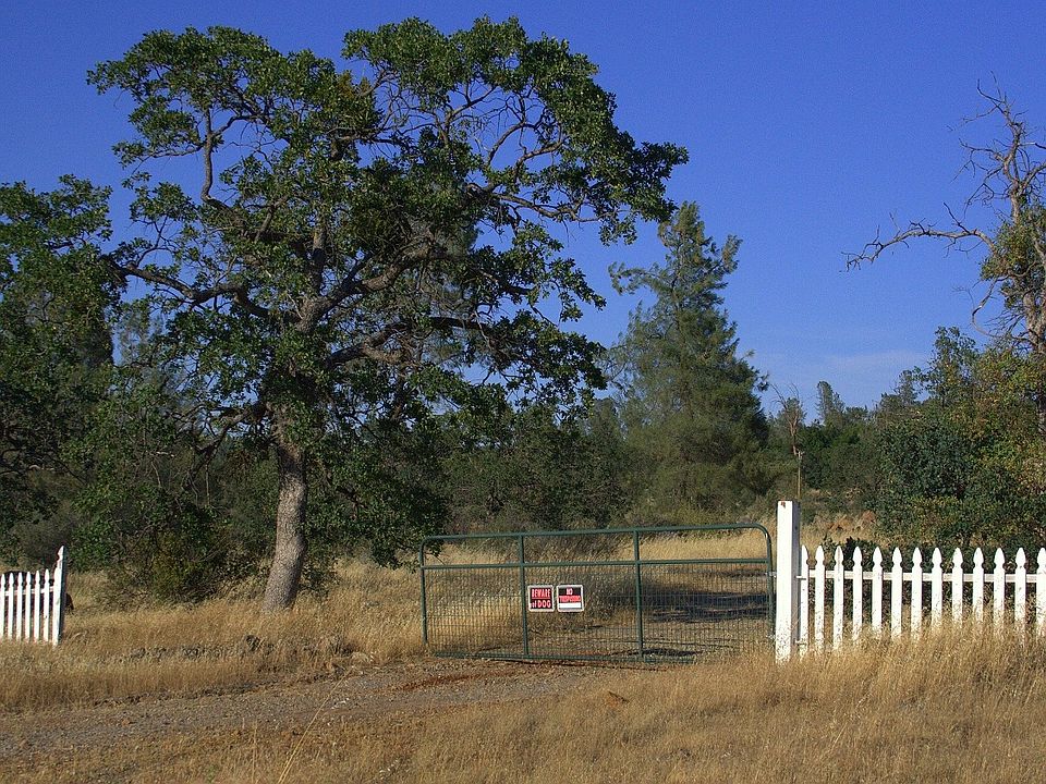 Lot 39