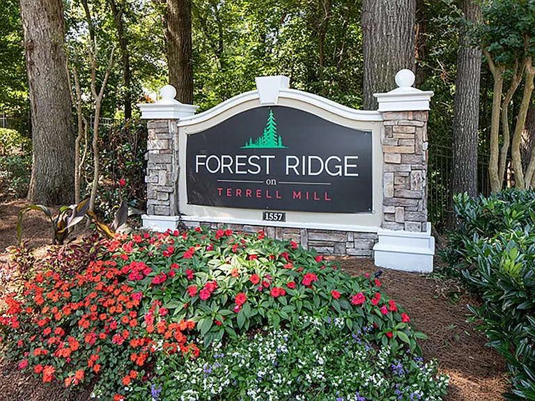 Forest Ridge at Terrell Mill — Photo 28