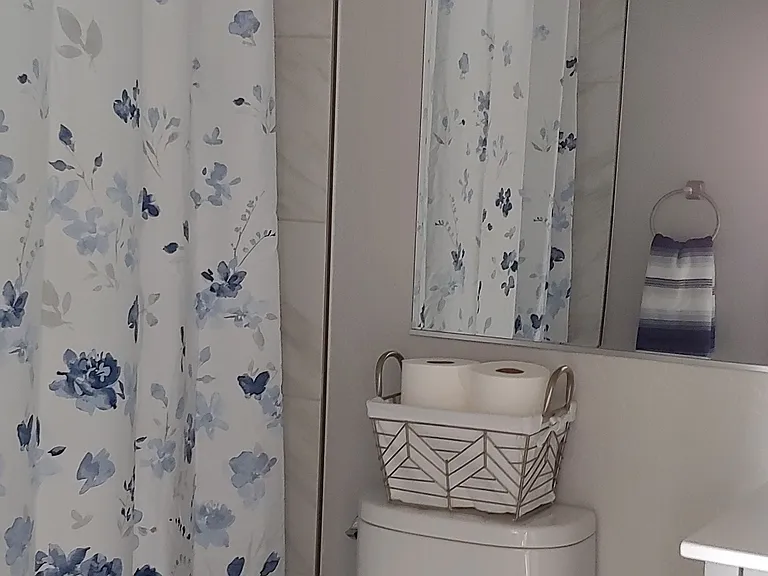 bath2_01082020