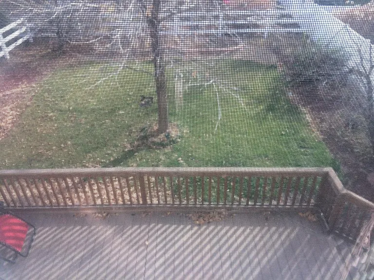 LArge Deck and mature trees, private backyard