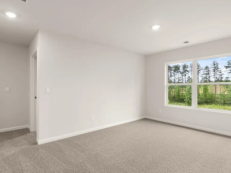 246 Thompson Ridge Ln — Photo 10