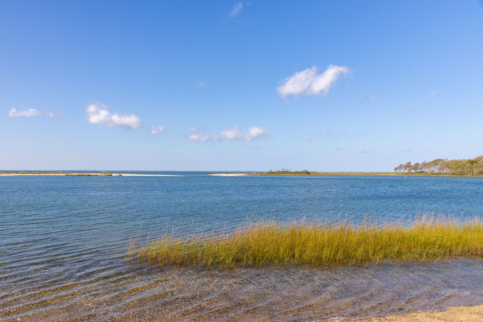  Glimpses of Bullhead Bay