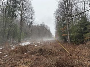 727 Curtain Rd, Craigsville, WV