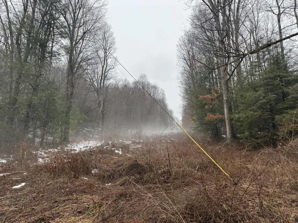 727 Curtain Rd, Craigsville, WV 26205