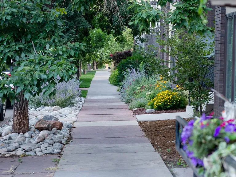 Sidewalk view of neighboring homes.