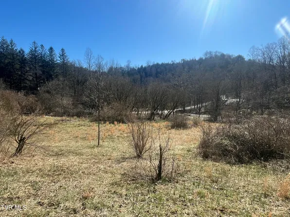 168 Osborne Ridge Rd, Dungannon, VA 24245