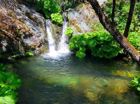 0 Grizzly Gulch Rd, Whiskeytown, CA 96095