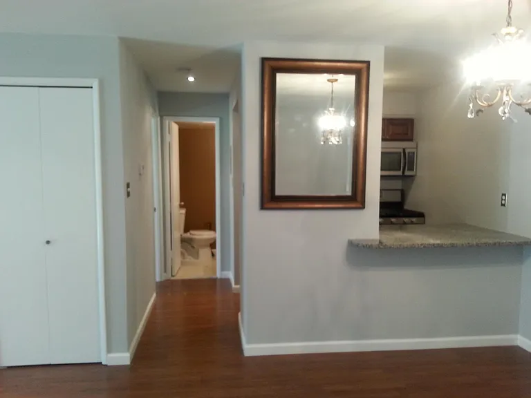 570 Wilson Bridge Dr #6771A — Photo 7