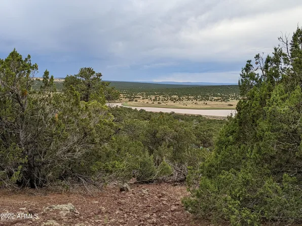 lot 72 N Dolly Drive #72, Vernon, AZ 85940