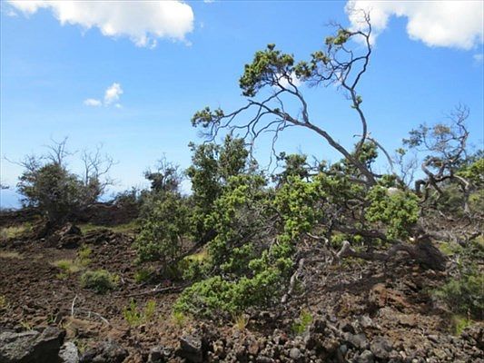 2nd image of Plumeria Ln Lot 26