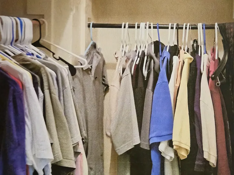Walk in closet with plenty of hanging room and shelving.