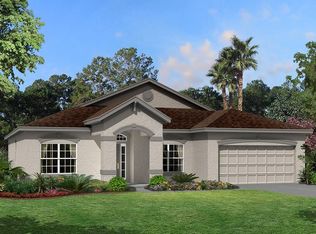 21744 Briske Morning Ave, Land O Lakes, FL 34637