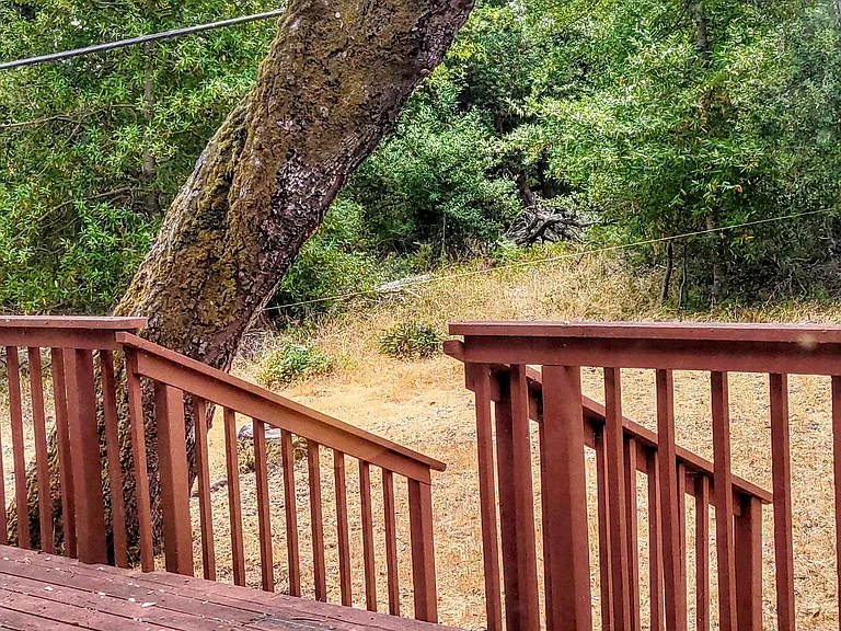 220 E Terrace Dr — Photo 22