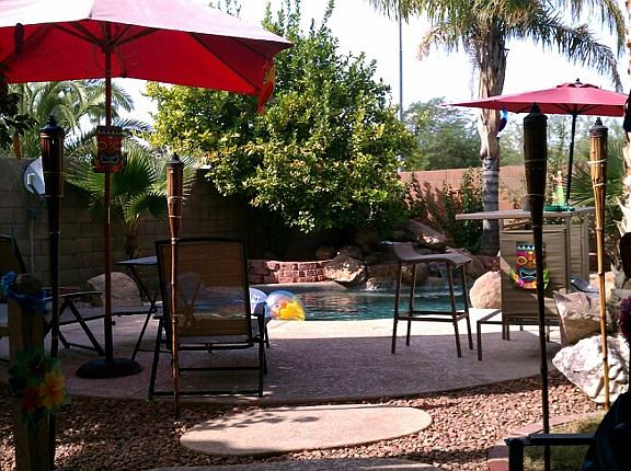 Resort oasis backyard with 8 palm trees!